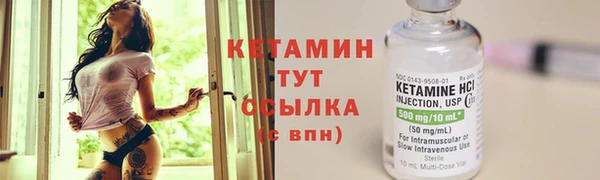 хмурый Белокуриха