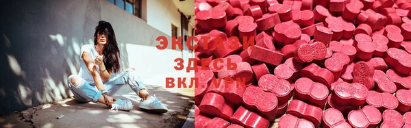 стаф Богородицк