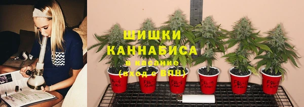 хмурый Белокуриха