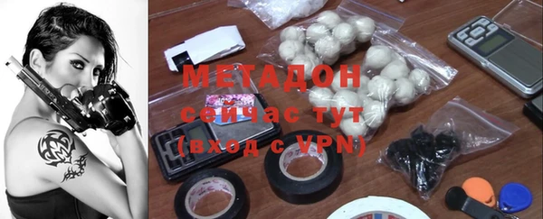 PSILOCYBIN Богданович