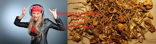 первитин Богородск